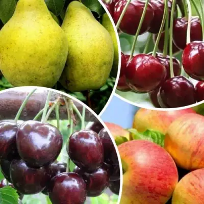 Комплект НАСЛАЖДЕНИЕ в Колодищи