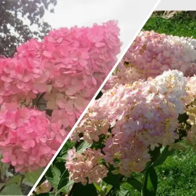 Комплект МНОГОГРАННОСТЬ в Колодищи