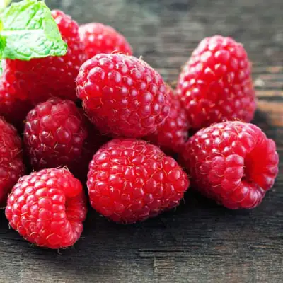 Малина ЭРИКА в Колодищи