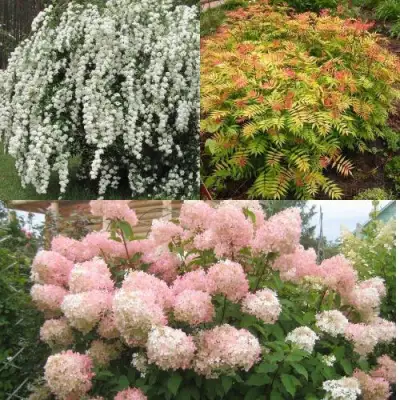 Комплект ФЕЙЕРВЕРК ЛЕТА в Колодищи