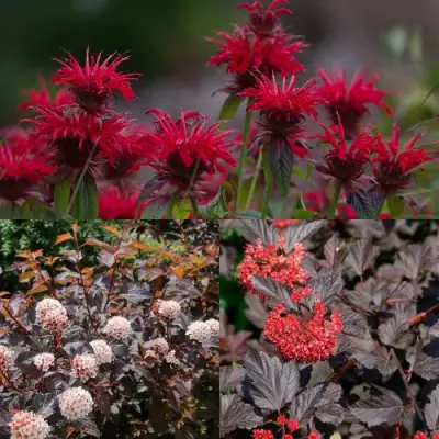 Комплект ОГНЕННЫЙ МИКС в Колодищи