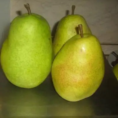 Груша БЕРЕ ЛЮКА в Колодищи