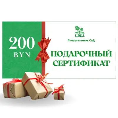 Подарочный сертификат на 200 BYN в Колодищи