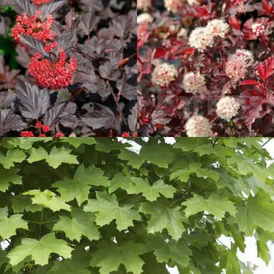 Комплект ОСЕННИЙ КОСТЕР в Колодищи