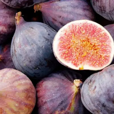 Инжир МУАССОН в Колодищи