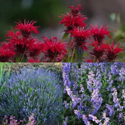 Комплект АРОМАТНЫЙ ЧАЙ в Колодищи