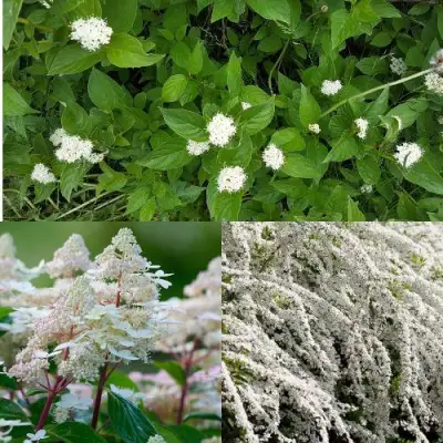 Комплект СКАНДИНАВСКИЙ СТИЛЬ в Колодищи