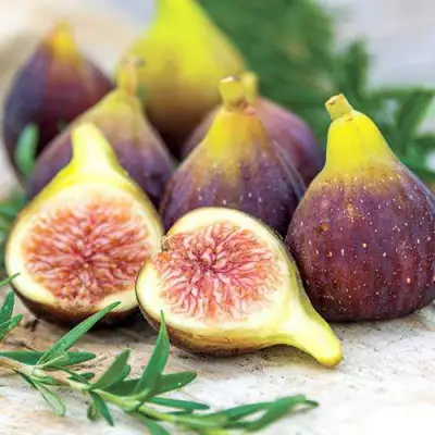 Инжир НИКИТСКИЙ в Колодищи