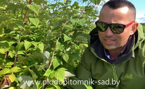 Превью видео