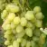 Виноград ЗАРНИЦА в Колодищи