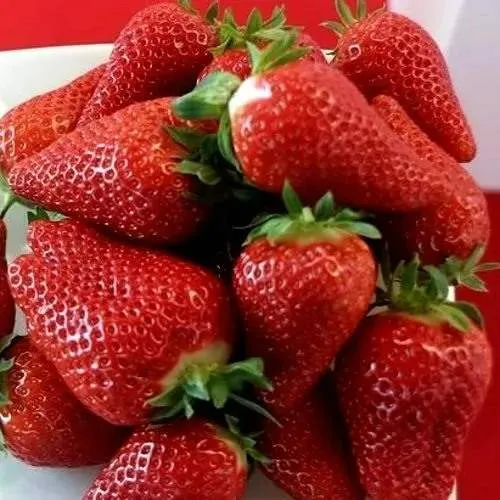 Клубника БРИЛЛА  Клубника БРИЛЛА в Колодищи