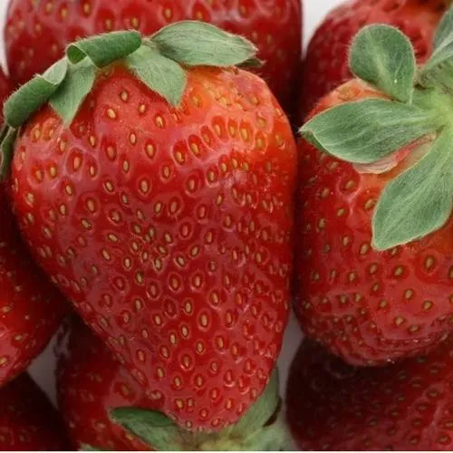 Клубника ФЛАМИНИЯ  Клубника ФЛАМИНИЯ в Колодищи