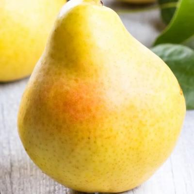 Желтая в Колодищи