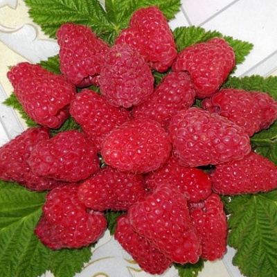 Сладкая в Колодищи