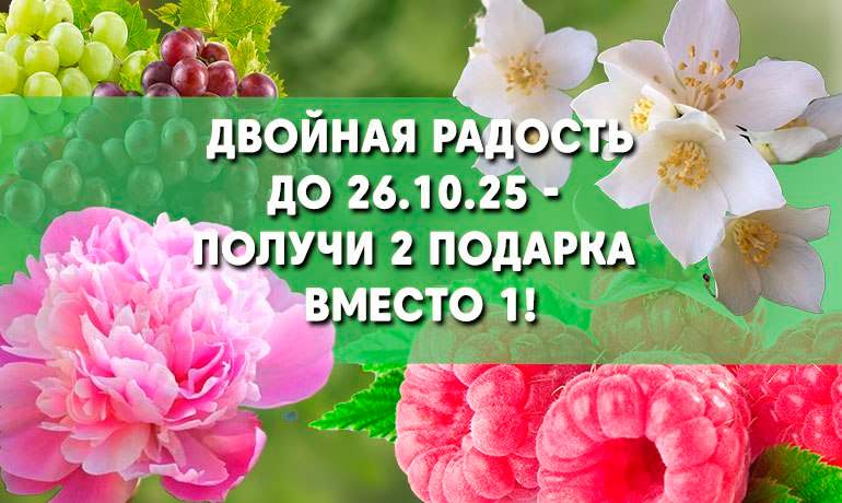 Двойная радость! До 22.10 — 2 подарка вместо 1 Двойная радость! До 22.10 — 2 подарка вместо 1