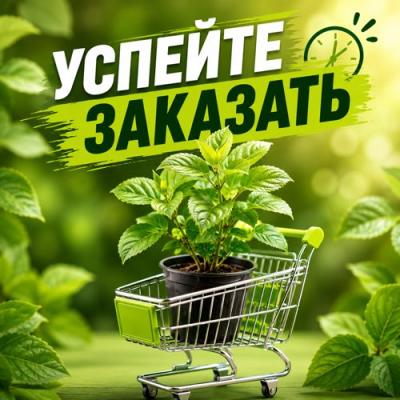 УСПЕЙТЕ ЗАКАЗАТЬ в Колодищи