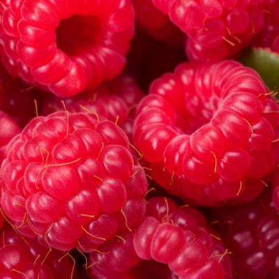 Красная в Колодищи