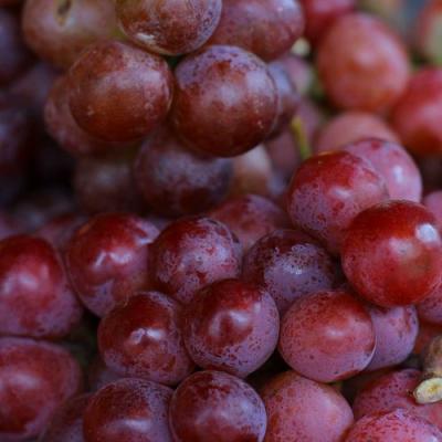 Красный в Колодищи