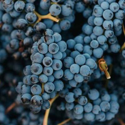 Технический в Колодищи