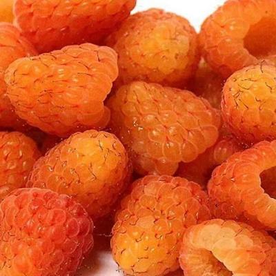 Оранжевая в Колодищи